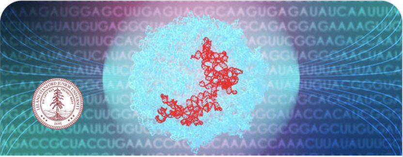Stanford RNA 3D Folding